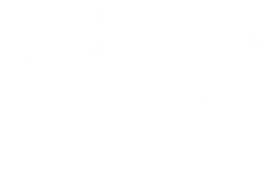 مرجان خانجانی