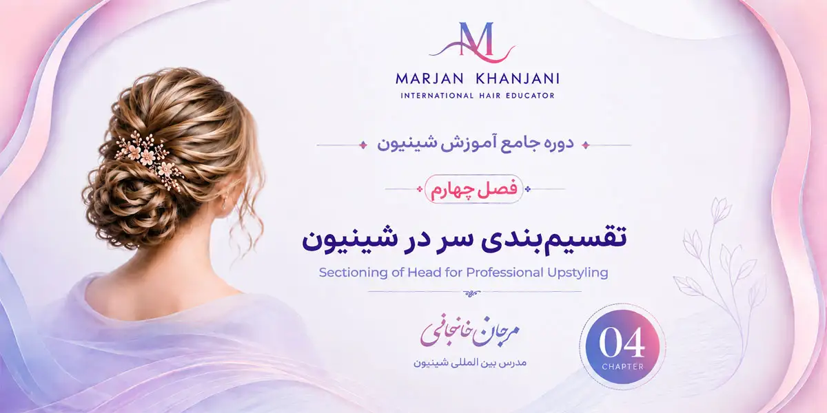 دوره جامع آموزش شنیون (فصل چهارم تقسیم بندی سر)